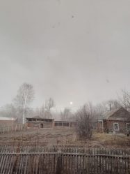 post-23991 thumbnail