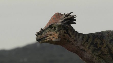 post-30374 thumbnail